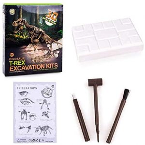 Dinosaur Skeleton Fossil Excavation Kit for Kids